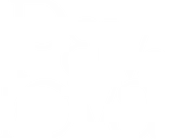 Pavlova Logo