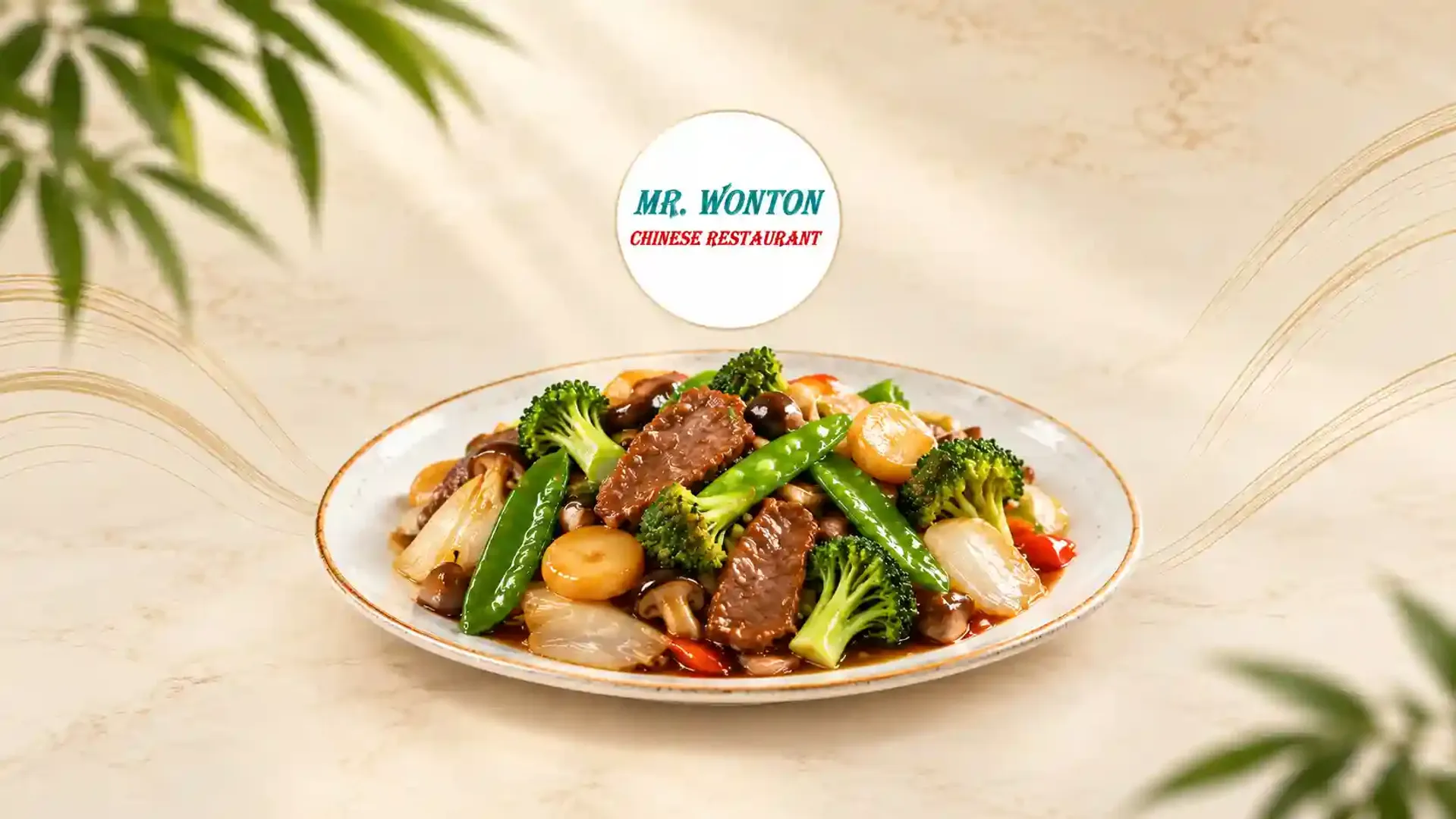 Mr. Wonton Chinese Restaurant - Demo - Promotional Banner