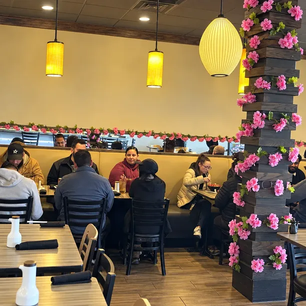 Premium Sushi meals - Wild Sushi And Ramen Fort Worth featured menu items.