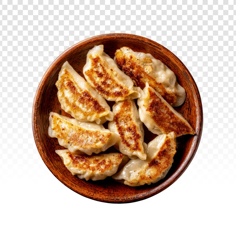 Pan Fried Dumplings