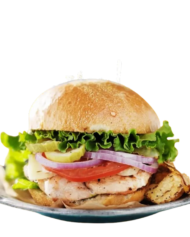 Sandwiches & Burgers