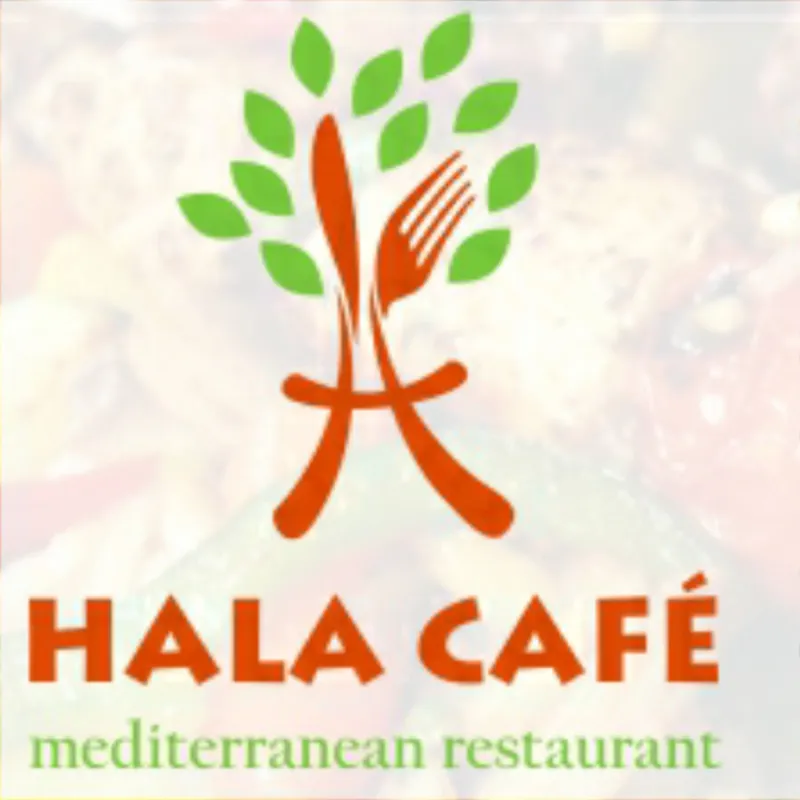 Chicken Kabob with fries side