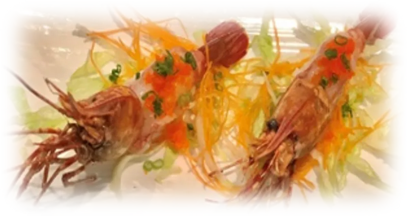 Sweet Shrimp Nigiri Sushi