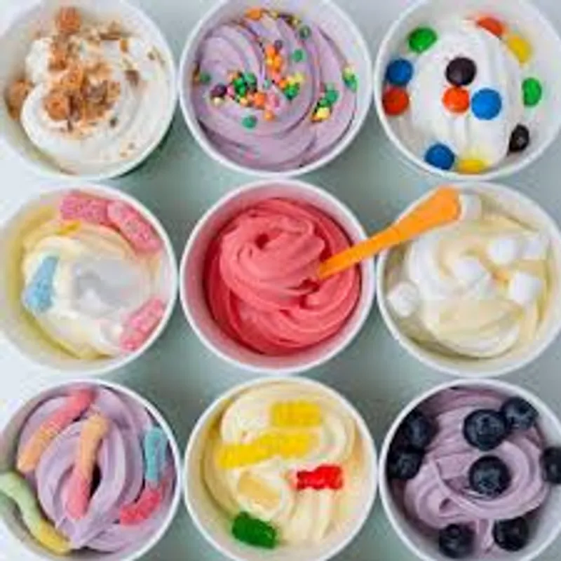 Frozen Yogurt With Toppings