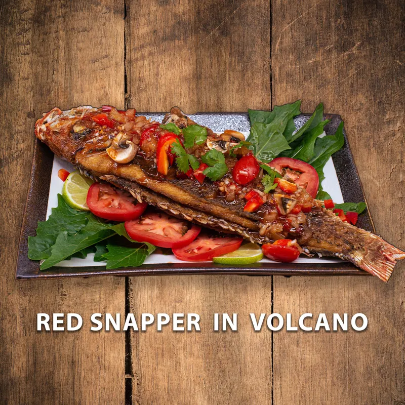 P6 red Snappr In Volcano