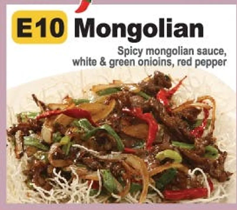 E10. Mongolian