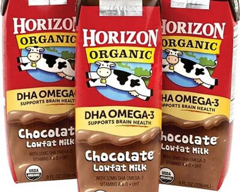 Chocolate Milk (Cold)