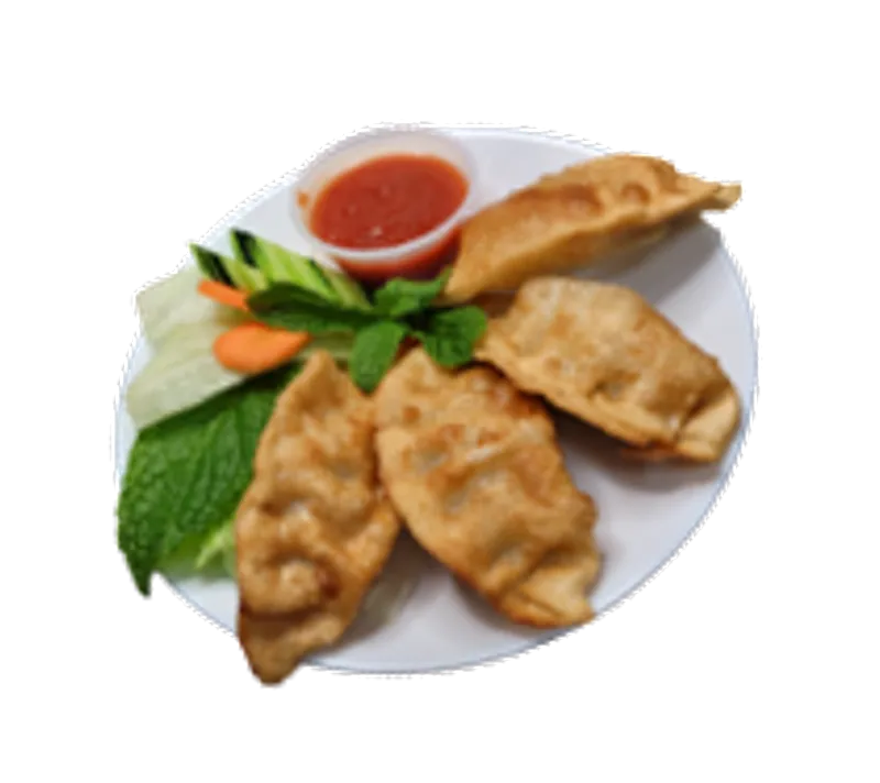 A3 Fried Chicken Dumplings