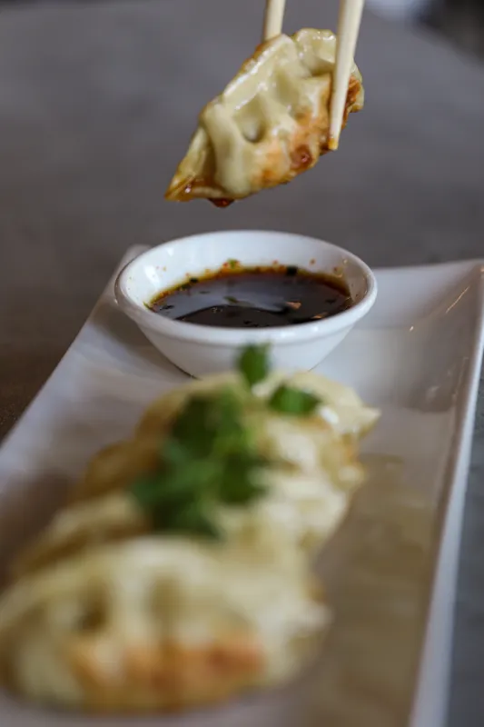 Gyoza