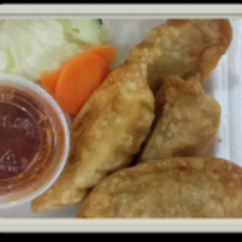 A2. Chicken Dumplings