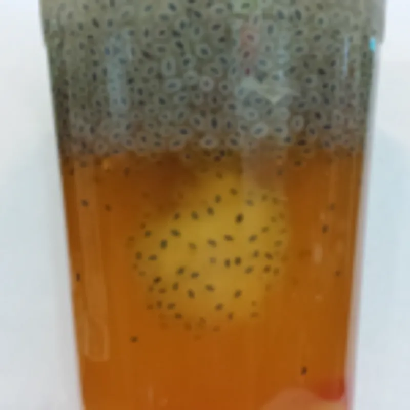 K6. Lychee Iced Tea Limeade w/ fruit jelly & chia