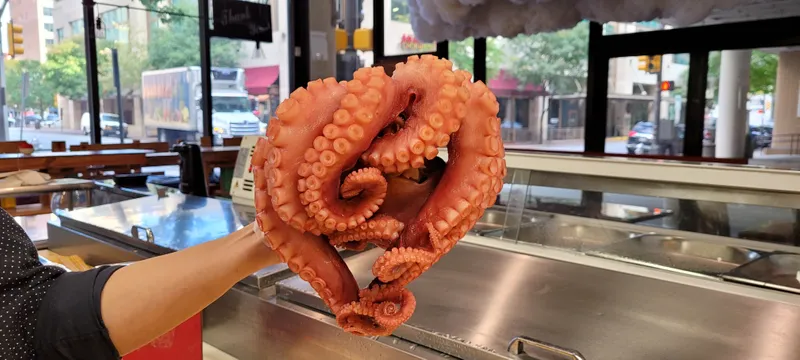 Octopus