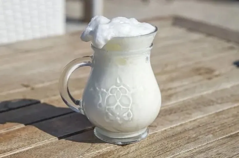 Yogurt Drink - Ayran