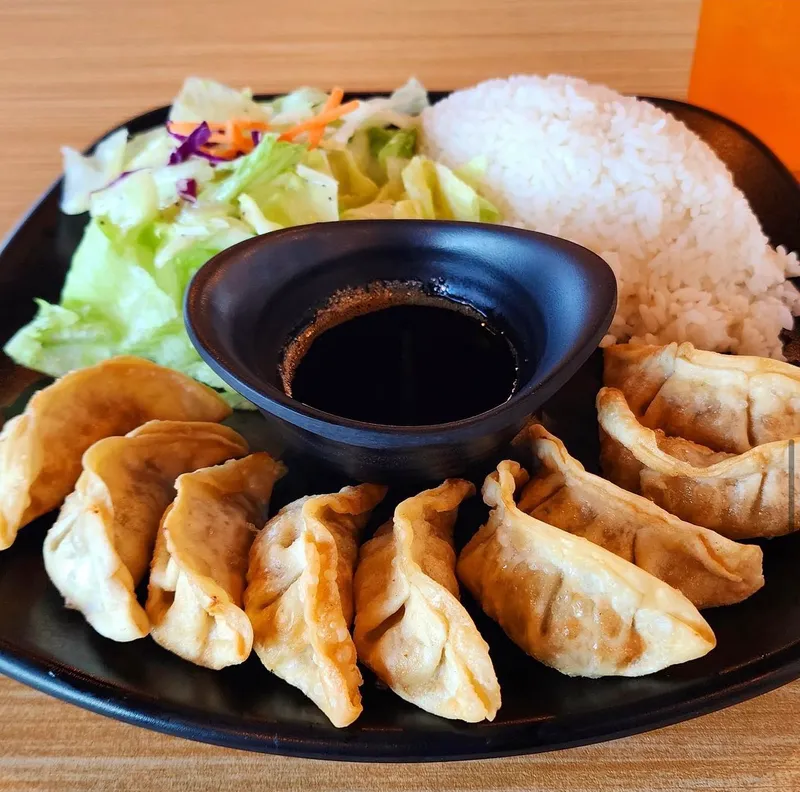 Gyoza Plate