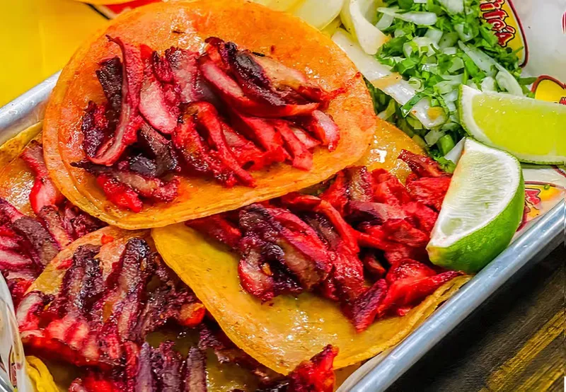 Trompo Taco Special Plate