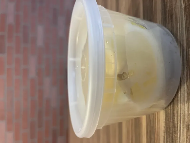 cup of lemon