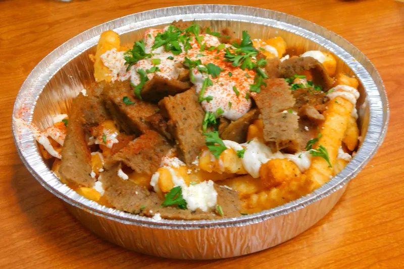 Gyro greek fries