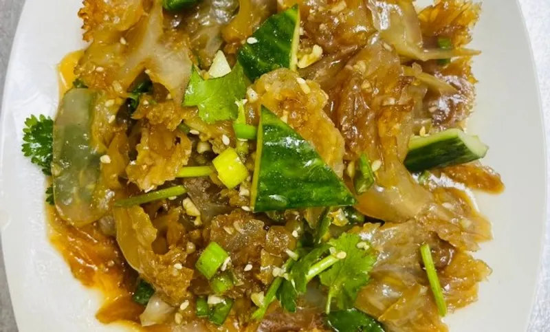 Old Vinegar Soaked Jellyfish Head