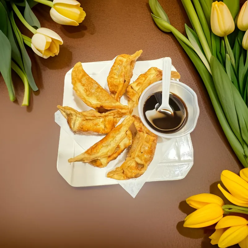 Vegetable Dumpling - Vegan