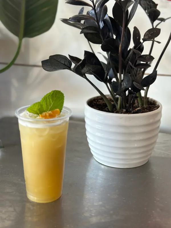 Fresh Sugarcane Juice (Nước Mía)