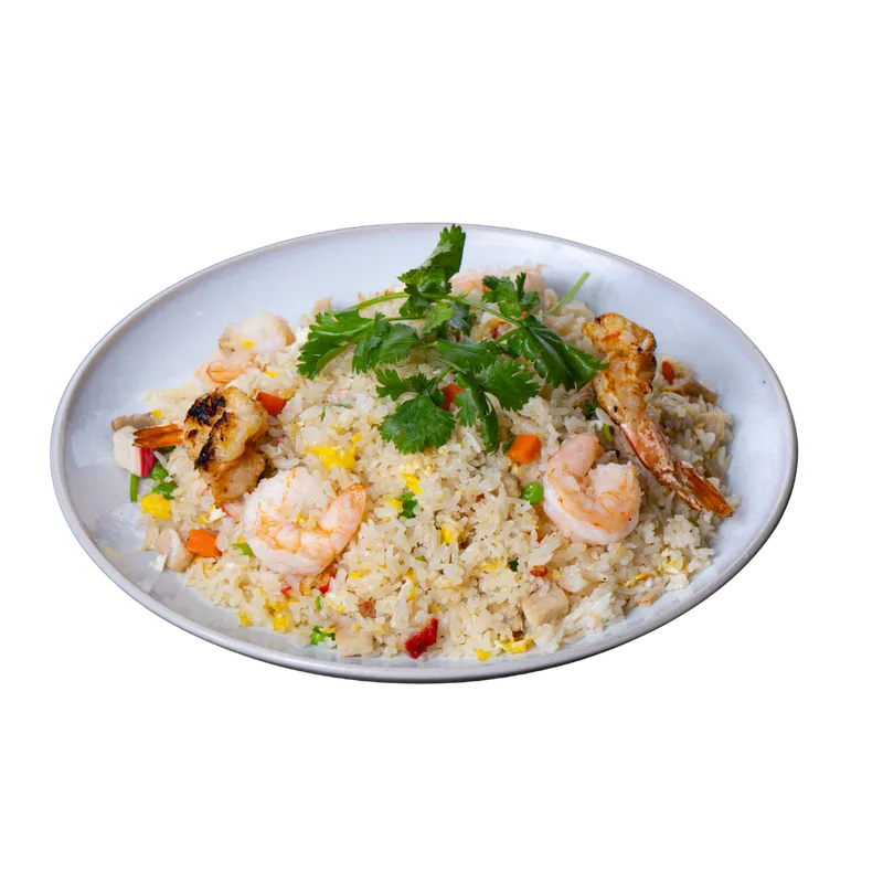 F1. Special Fried Rice