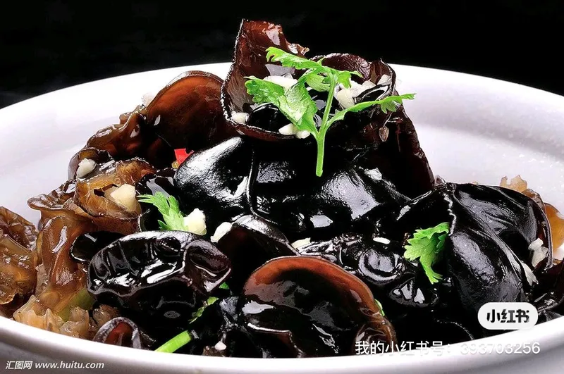 073 Fungus In Vinegar Sauce