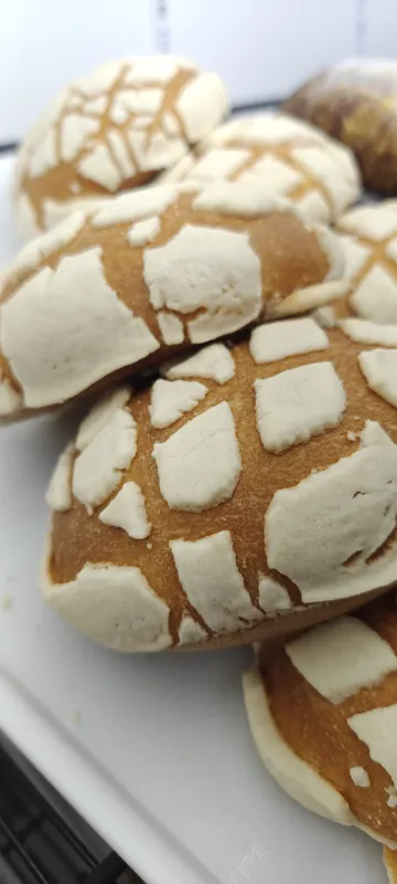 Concha (Brioche Sweet Shell)