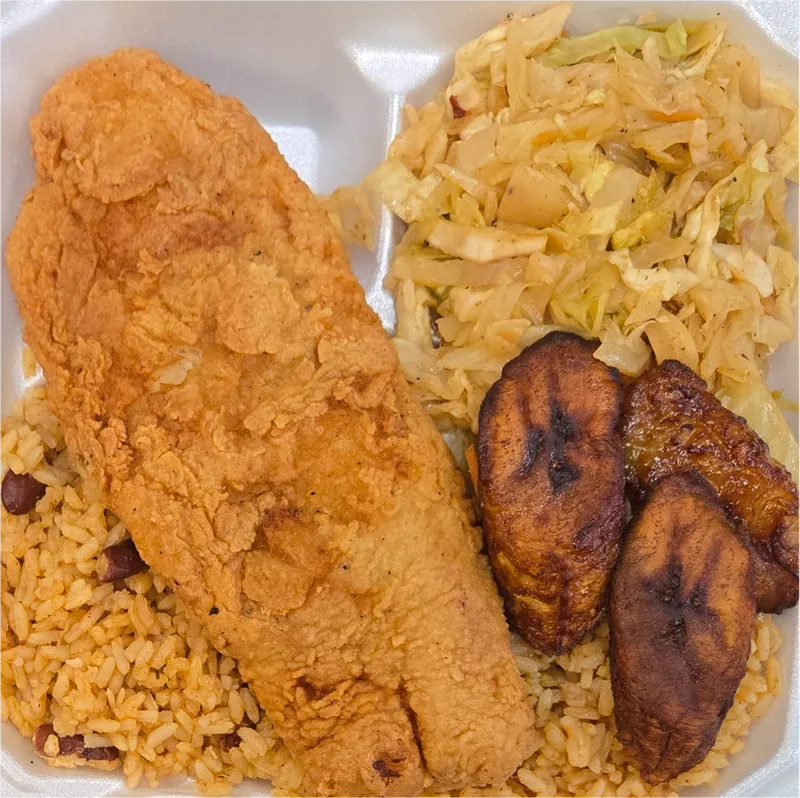 Fry Fish Fillet Plate