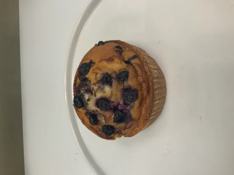 Muffin- Blueberry