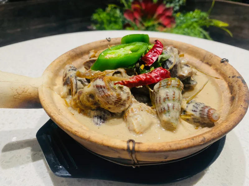 Coconut Swirly Escargot