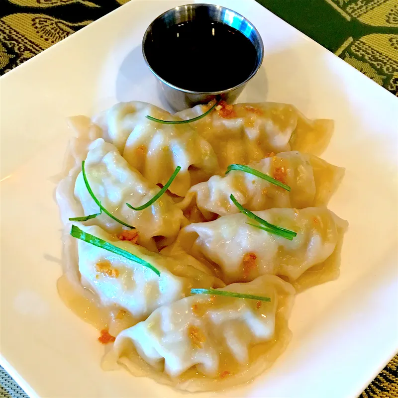 Veggie Dumpling