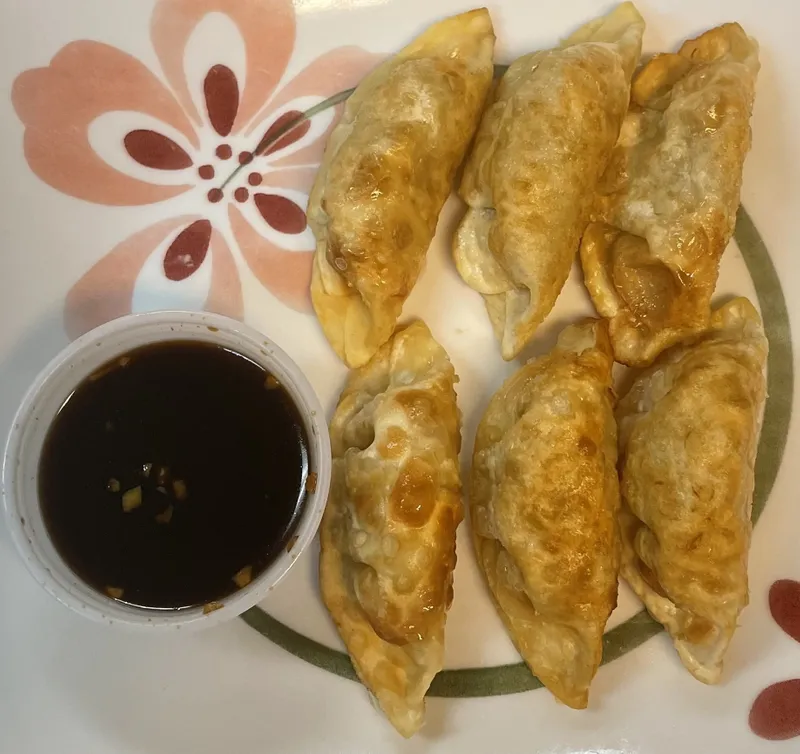 9. Pork Dumpling (6) Fried or Steamed