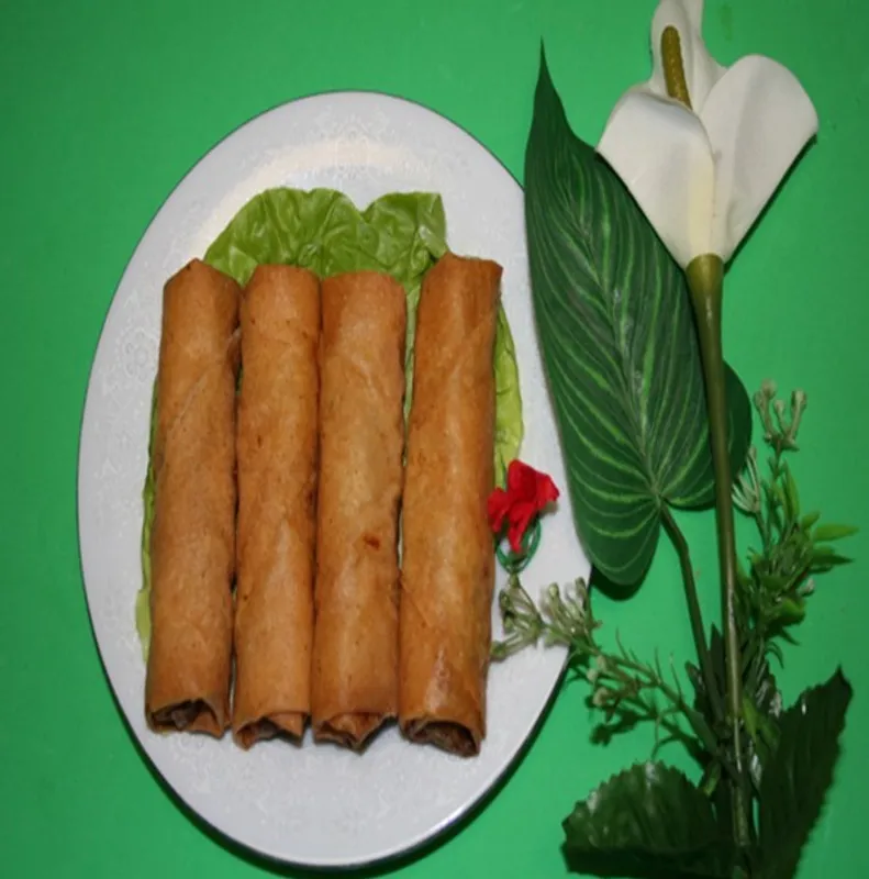 SP1. Mr. Wonton Fried Pork Spring Roll (4)