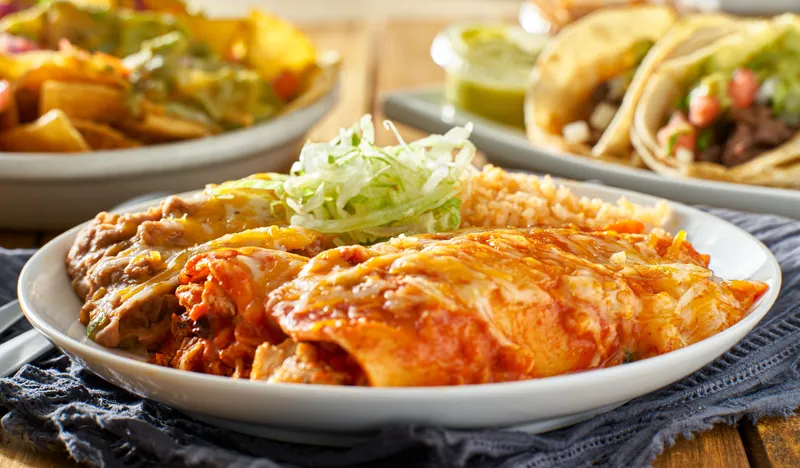 Enchiladas Plate (2 Pcs)