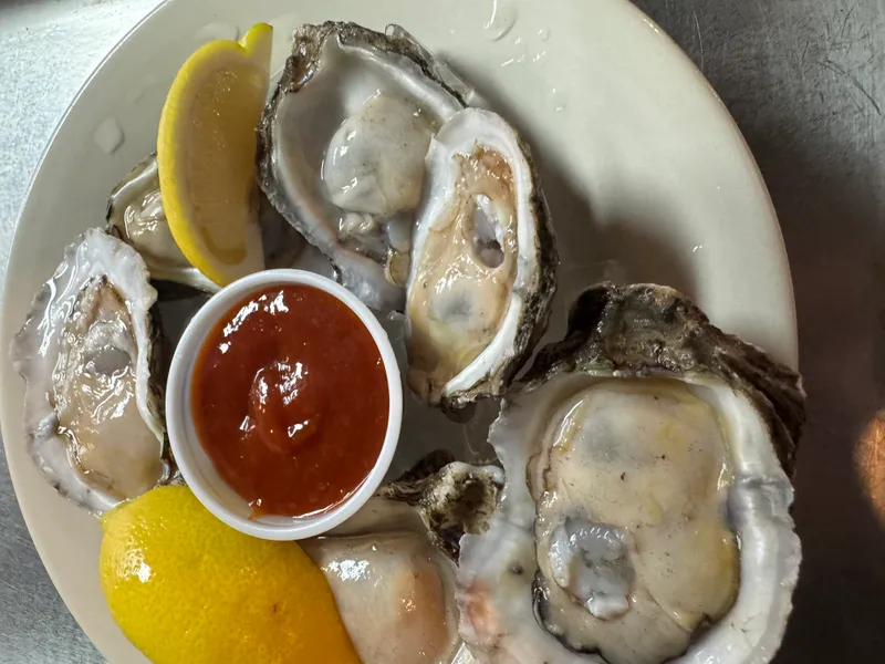 Raw Oysters on the Half Shell
