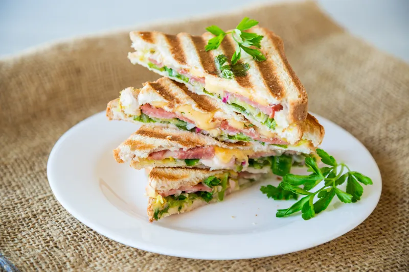 Turkey Cranberry Panini