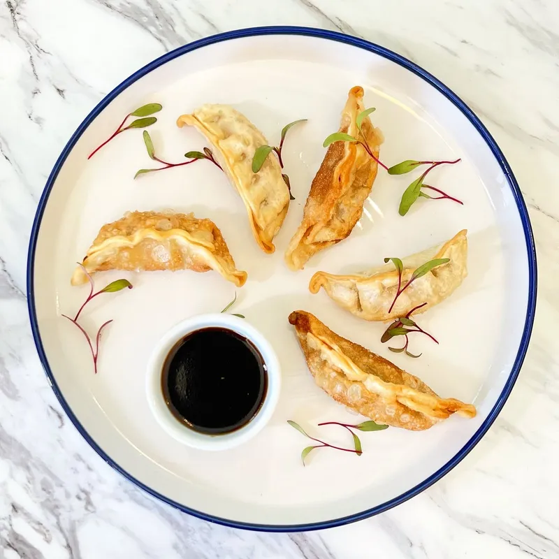 Fried Chicken Pot Stickers (5)