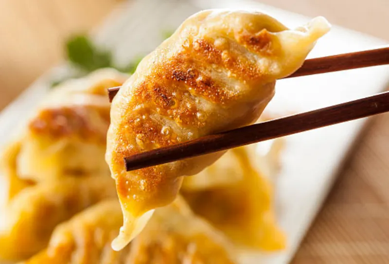 A4. FRIED PORK DUMPLING (5)