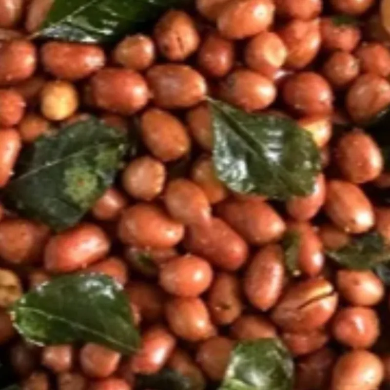 Aishwarya Peanut Masala - 8Oz