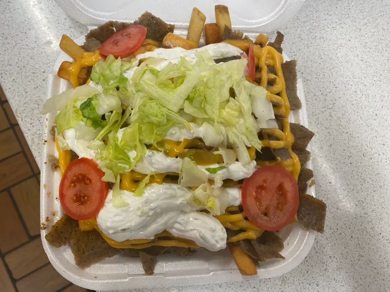 Large Gyro Cheese Fries