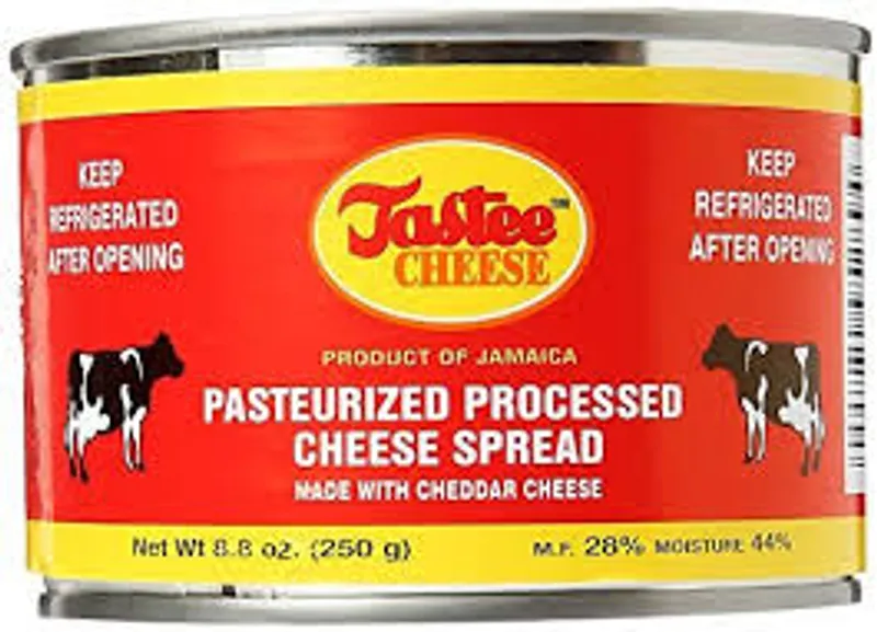 Tastee Cheese