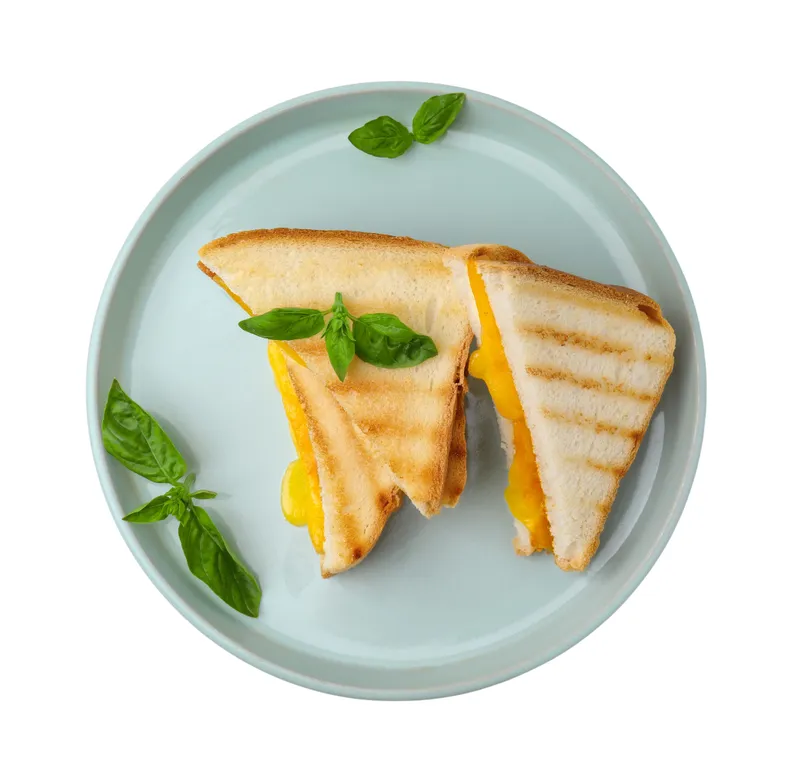 Cheese Sandwich