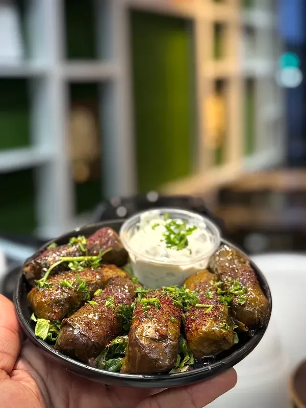 Stuffed Grape Leaves (6 Pieces)