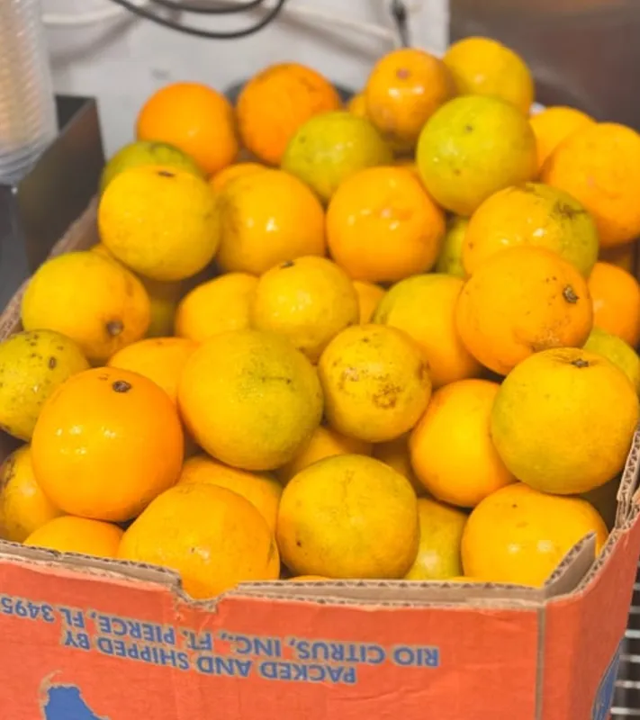 Orange Juice / Laranja