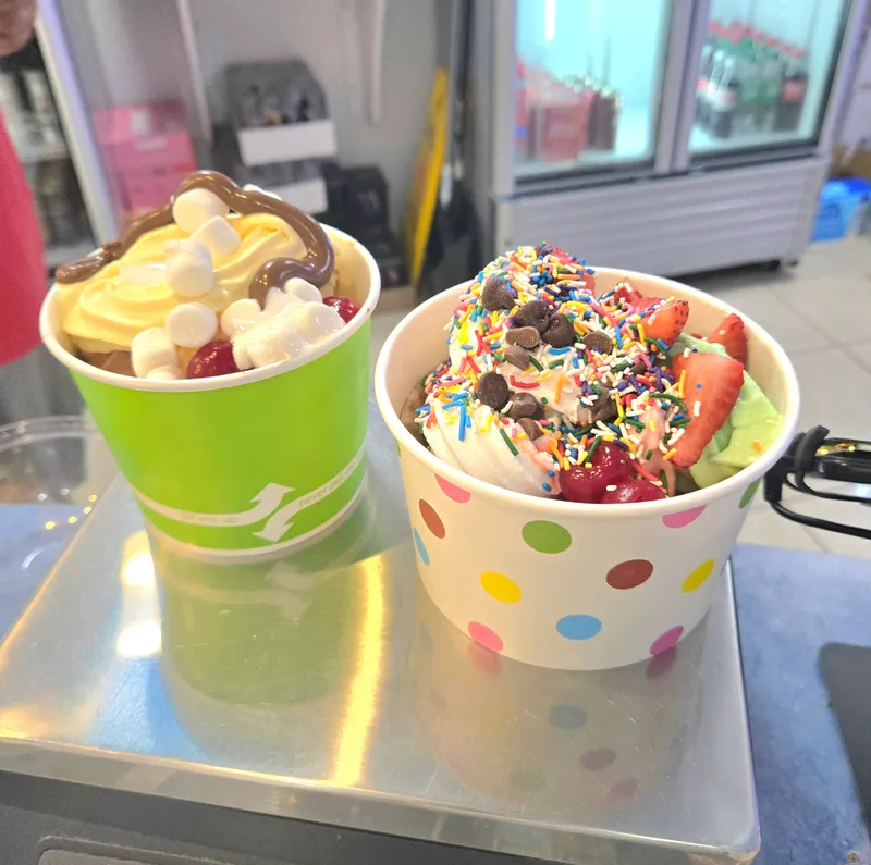 Frozen Yogurt