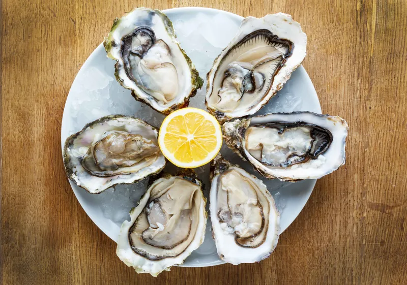 61. Oysters (6)