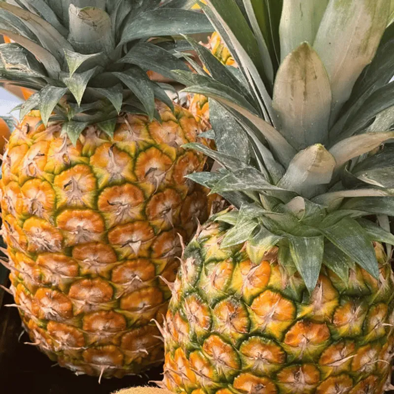 Pineapple
