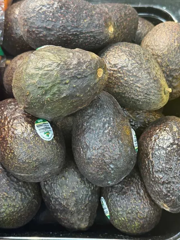 Avocado