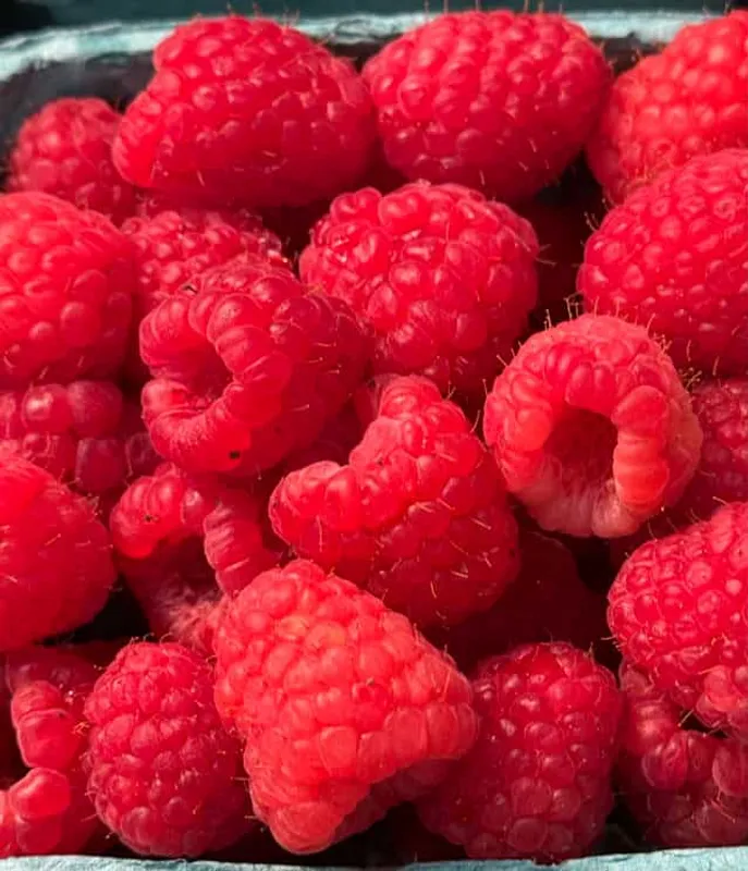 Raspberries