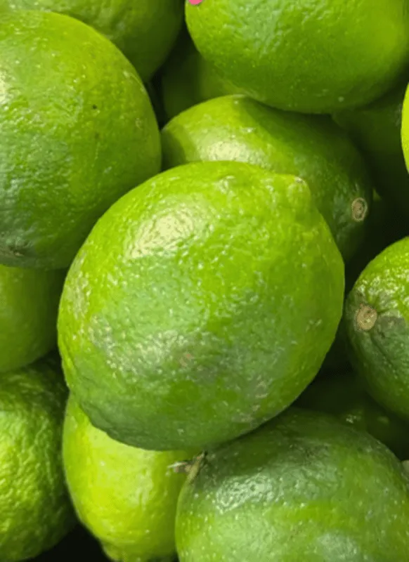 Limes